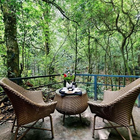 Ayar Jungle Resort Nainital Buitenkant foto