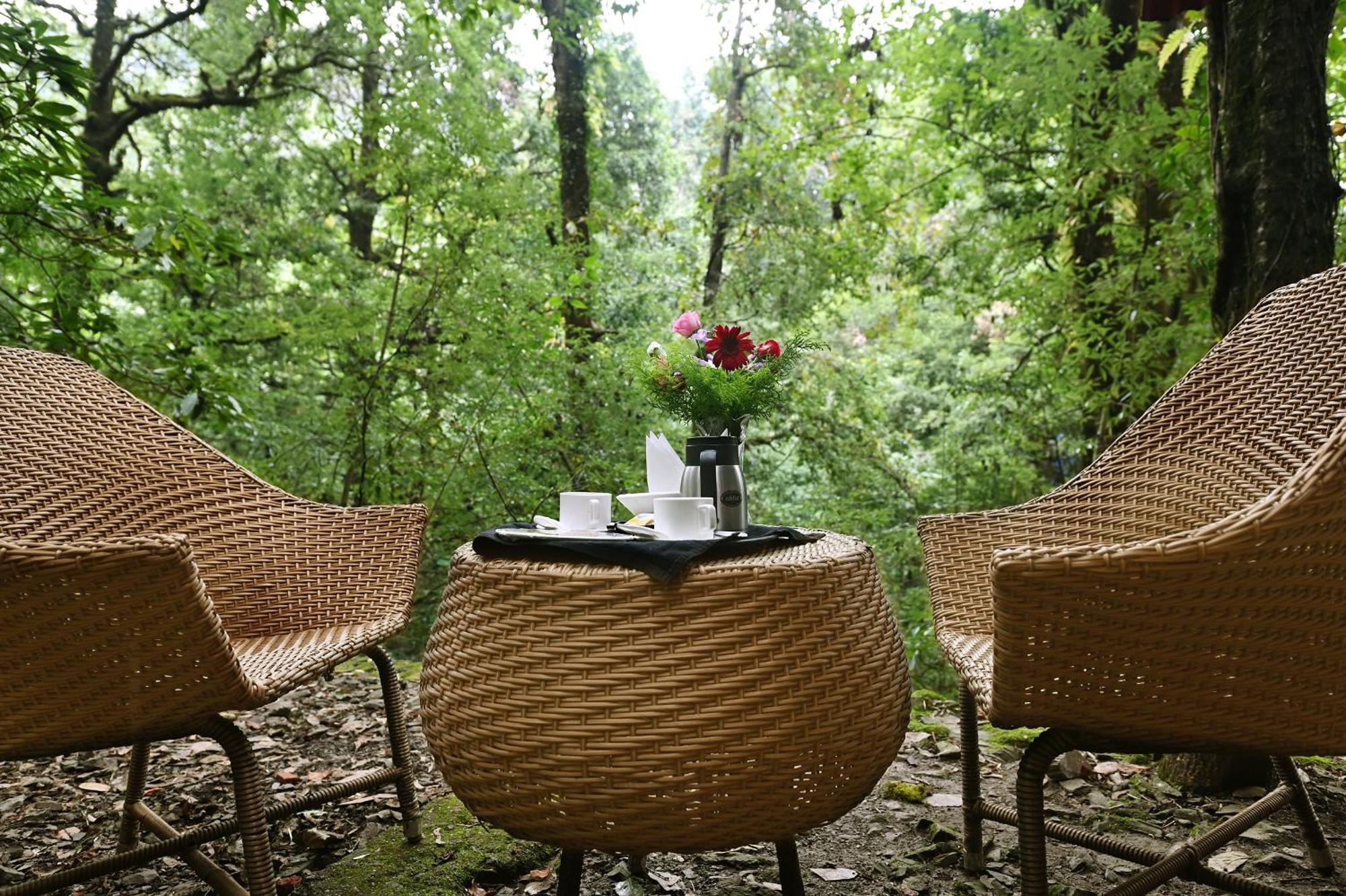 Ayar Jungle Resort Nainital Buitenkant foto